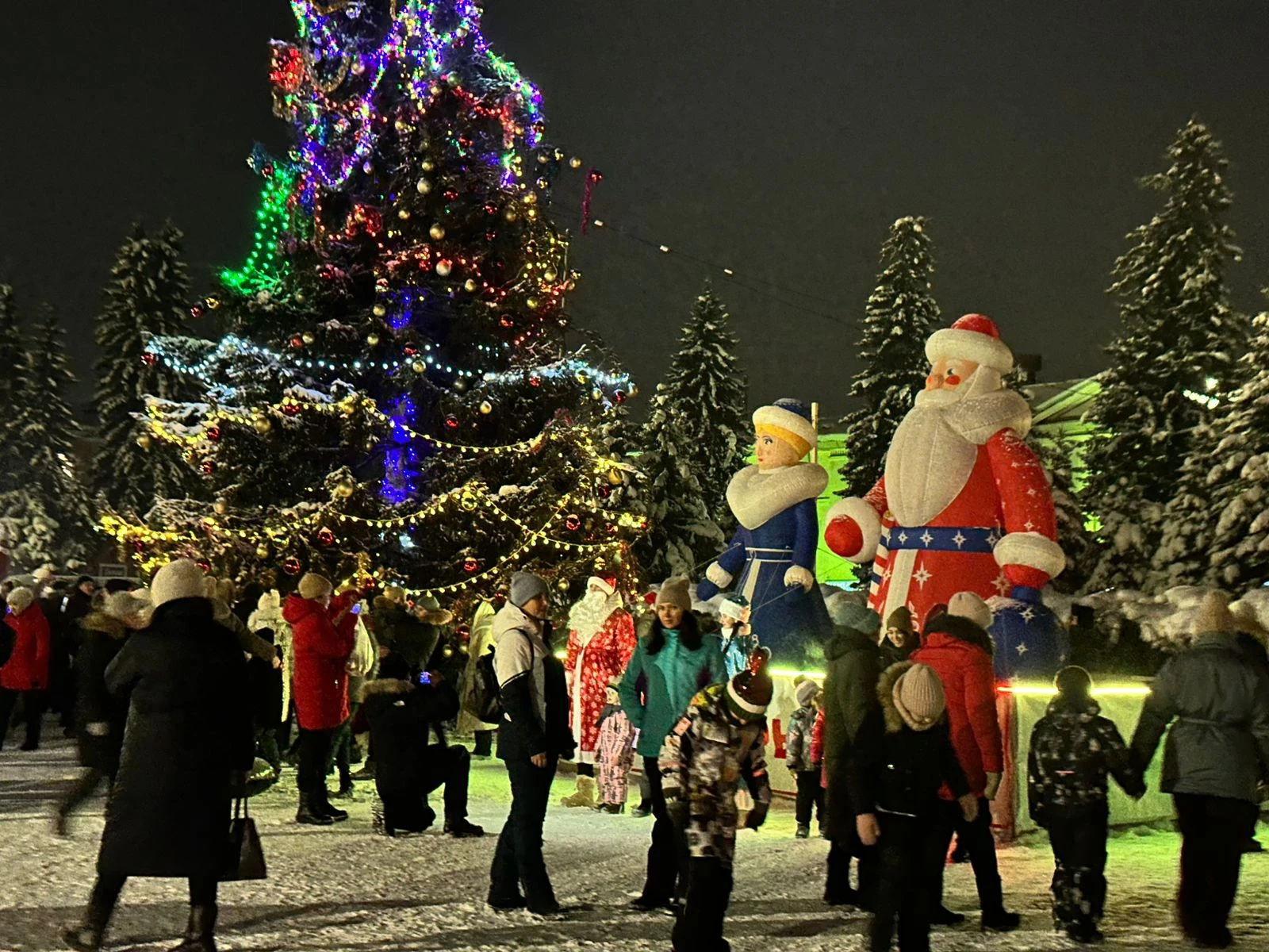 Фото: ОВП района Алтай