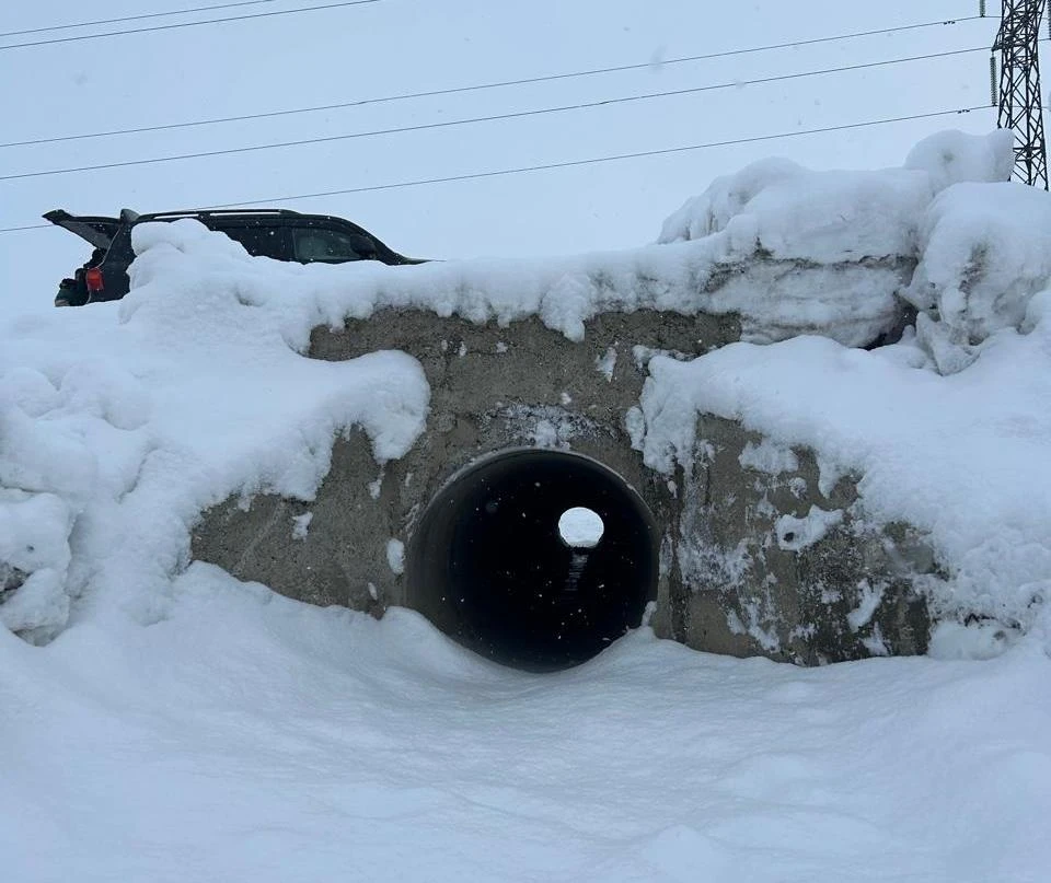Фото: ТОО "Altai-News" медиа-центр"