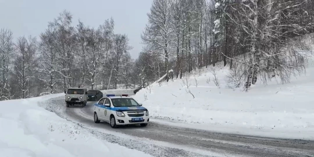 Фото: скриншот с видео