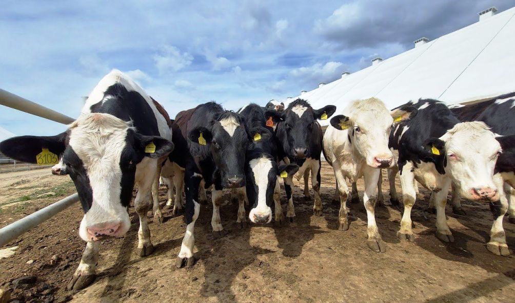 WhatsApp Image 2021-12-06 at 21.53.59.jpeg