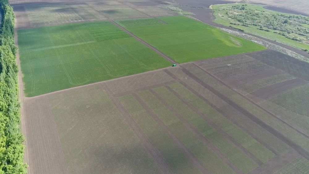 Sequence 01.00_00_43_15.Still006.jpg