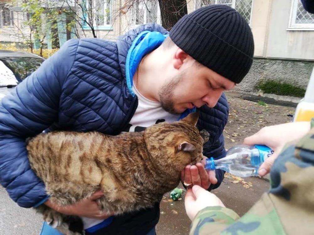 кот Шило.jpg