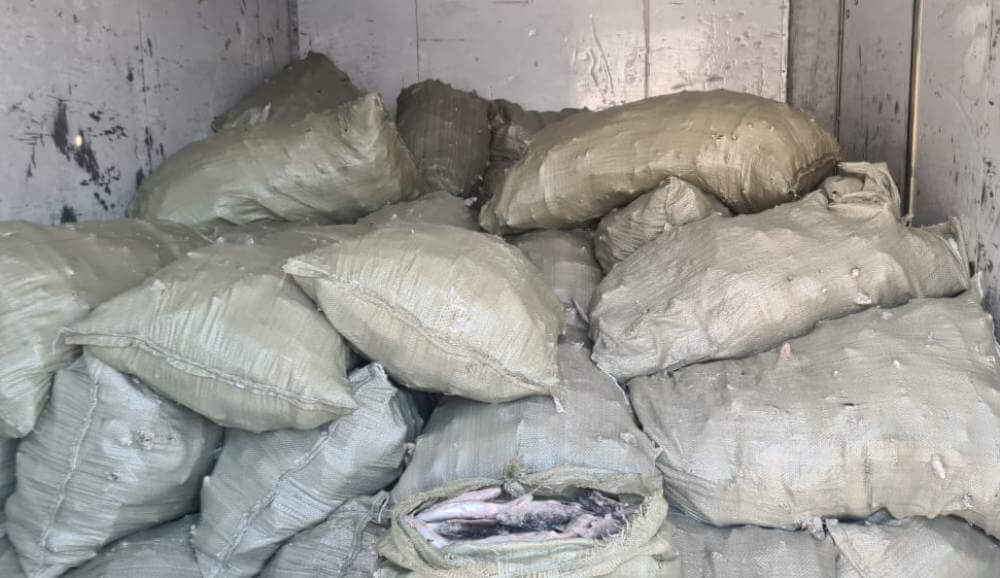 WhatsApp Image 2021-01-14 at 14.51.23.jpeg